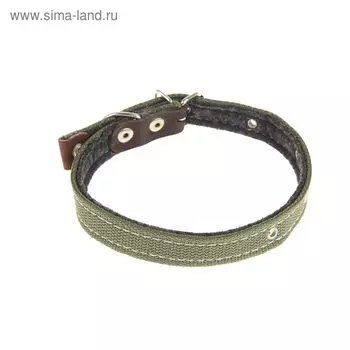 Ошейник брезентовый на фетре, 50 х 2 см, ОШ 25-45 см, тёмно-зелёный