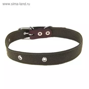 Ошейник брезентовый однослойный, 60,5 х 2,5 см, ОШ 30-55 см, тёмно-зелёный
