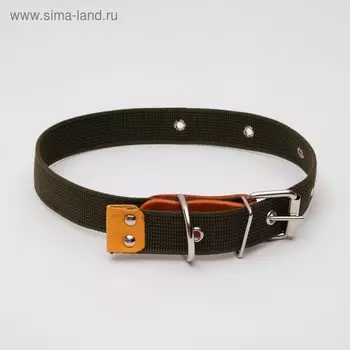 Ошейник брезентовый однослойный, 66 х 3 см, ОШ 33-60 см, тёмно-зелёный