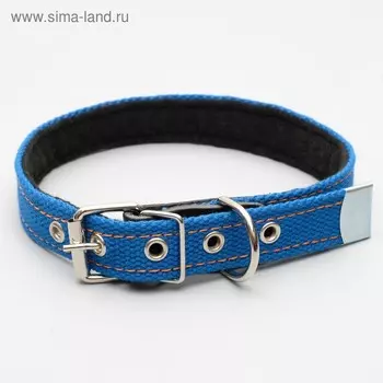 Ошейник брезентовый с подкладом, 57 х 2,5 см, ОШ 35-45 см, синий