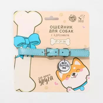 Ошейник для собак «Best friends» с адресником, ОШ 27-34 см