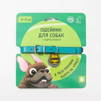 Ошейник для собак «Чемпион» с адресником, ОШ 27-34 см