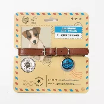 Ошейник для собак «Мой любимец» с адресником, ОШ 27-34 см
