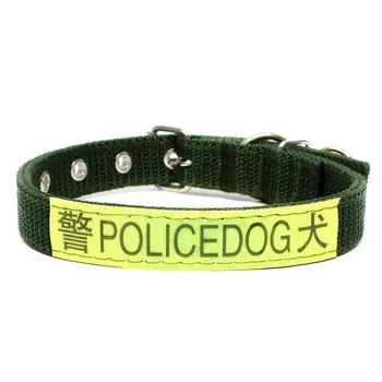 Ошейник двухслойный с вертлюгом, 2,5 см, зелёный