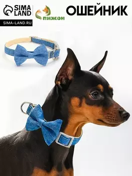 Ошейник «Джентельмен жакардовый», 401.5 см, синий