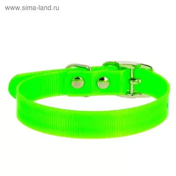 Ошейник из биотана, ОШ 24-28 х 1,2 см, зелёный