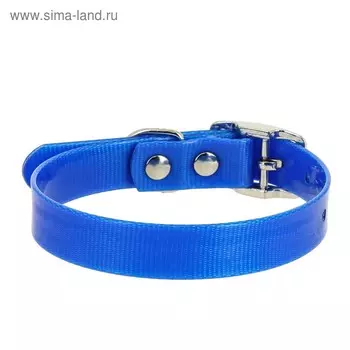 Ошейник из биотана, ОШ 26-35 х 1,5 см, синий