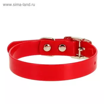 Ошейник из биотана, ОШ 39-51,5 х 2,5 см, красный
