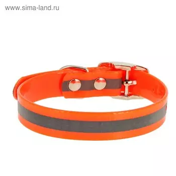 Ошейник из биотана со светоотражающей полосой, ОШ 44-56,5 х 2,5 см, оранжевый