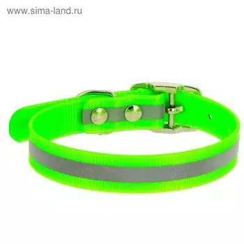 Ошейник из биотана со светоотражающей полосой, ОШ 44-56,5 х 2,5 см, зелёный