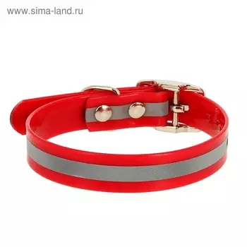 Ошейник из биотана со светоотражающей полосой, ОШ 20-24 х 1,2 см, красный