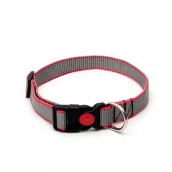 Ошейник капроновый, фастекс с замком, 50 х 2 см, ОШ до 50 см, серый с красн. полосой