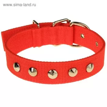 Ошейник клепаный, 48,5 х 3 см, ОШ 31-40 см, полиэстер, красный