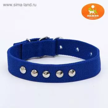 Ошейник клепаный, 48,5 х 3 см, ОШ 31-40 см, полиэстер, синий