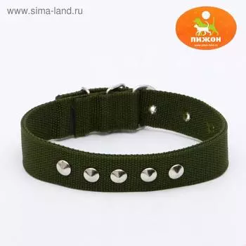 Ошейник клепаный, 48,5 х 3 см, ОШ 31-40 см, полиэстер, тёмно-зелёный