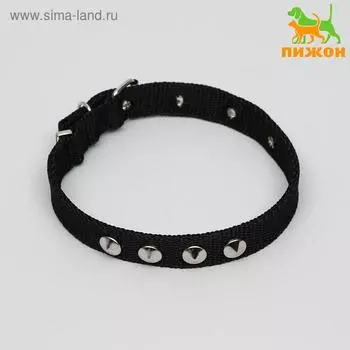 Ошейник для животных