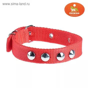 Ошейник клёпаный, 40.5 х 2 см, ОШ 26-34 см, полиэстер, красный