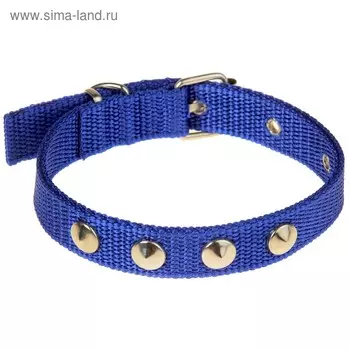 Ошейник клёпаный, 40.52 см, ОШ 26-34 см, полиэстер, синий