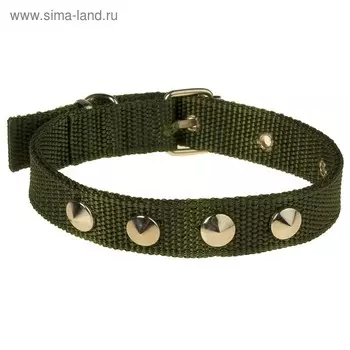 Ошейник клёпаный, 40.5 х 2 см, ОШ 26-34 см, полиэстер, тёмно-зелёный