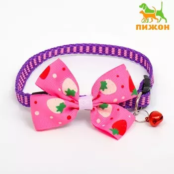 Ошейник "Клубника", 30 х 1 см, капрон, розовый