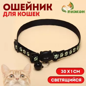 Ошейник кошачий "Душечка" светящийся, с бубенчиком, 30 х 1 см, полиэстер, черный