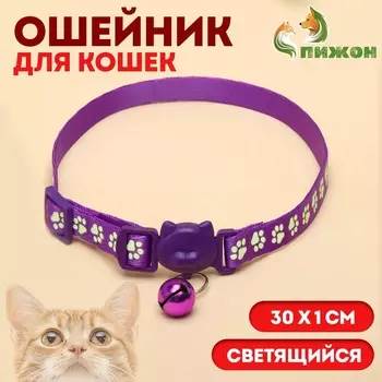 Ошейник кошачий "Душечка" светящийся, с бубенчиком, 30 х 1 см, полиэстер, фиолетовый