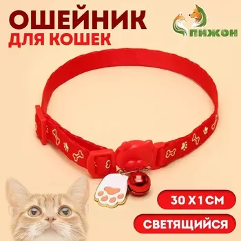 Ошейник кошачий "Лапка" светящийся, с бубенчиком и подвесом, 30х1 см, полиэстер, красный