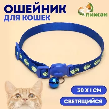 Ошейник кошачий "Рыбёшка" светящийся, с бубенчиком, 30 х 1 см, полиэстер, синий
