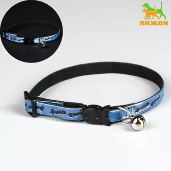 Ошейник кошачий со светоотражающим покрытием «Рыбки», 301 см, голубой