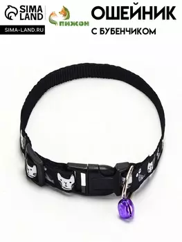 Ошейник "Котята", 40 х 1,5 см, черный