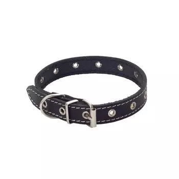 Ошейник кожаный 2 см безразмерный, ОШ до 40см