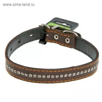 Ошейник кожаный двойной, со стразами, 31-39 х 2 см, микс