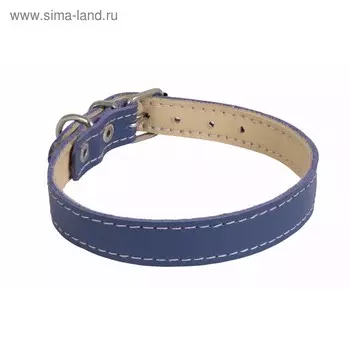 Ошейник кожаный двухслойный, ОШ 20-24 х 1,2 см, микс цветов