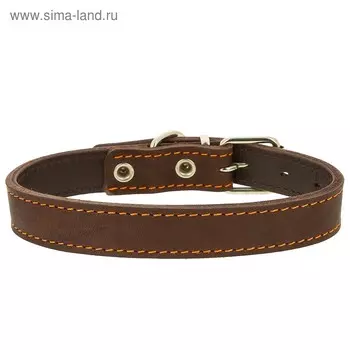 Ошейник кожаный двухслойный, ОШ 49-58 х 3 см, микс цветов