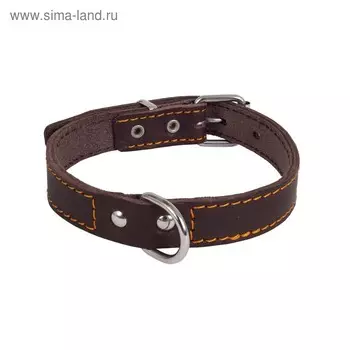 Ошейник кожаный двухслойный, с кольцом посередине, ОШ 31-39 х 2 см, микс цветов