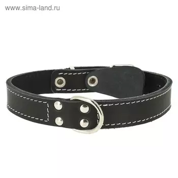 Ошейник кожаный двухслойный, с кольцом посередине, ОШ 39-46 х 2,5 см, микс цветов