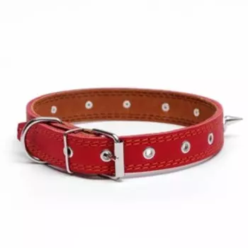 Ошейник кожаный двухслойный шипованный, 63 х 3 см, ОШ 40-55 см, красный