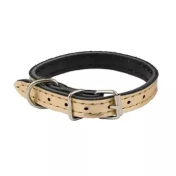 Ошейник кожаный двухслойный, ширина 1 см, ОШ 16-22 см, золотой