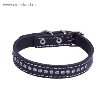 Ошейник кожаный двухслойный со стразами, ОШ 21-27 х 1,5 см, микс цветов