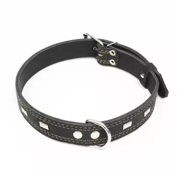 Ошейник кожаный двухслойный украшенный, 69 х 3,5 см, ОШ 45-60 см, чёрный