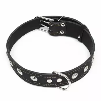 Ошейник кожаный двухслойный украшенный, 85 х 4.5 см, ОШ 50-70 см, чёрный