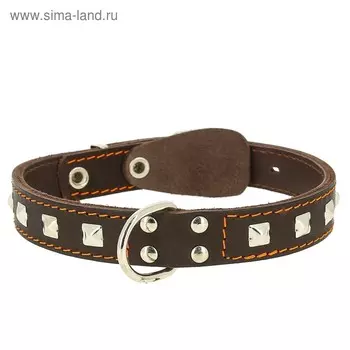 Ошейник кожаный двухслойный украшенный, кольцо посередине, ОШ 63-72 х 4,5 см, микс цветов