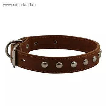 Ошейник кожаный двухслойный украшенный, ОШ 39-46 х 2,5 см, микс цветов