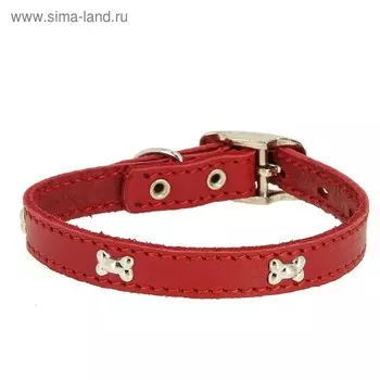 Ошейник кожаный "Флер" украшенный "Косточка", ОШ 24-30 х 1,5 см, красный