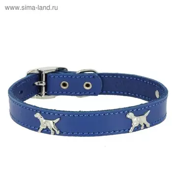 Ошейник кожаный "Флер" украшенный "Собака", ОШ 30-38 х 2 см, синий