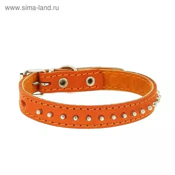 Ошейник кожаный "Ёж" двухслойный, ОШ 24-30 х 1,5 см, микс цветов