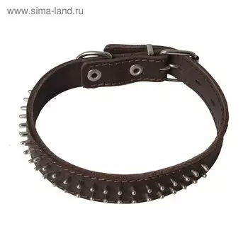 Ошейник кожаный "Ёж" двухслойный, ОШ 44-53 х 3 см, микс цветов