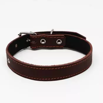 Ошейник кожаный на синтепоне, 653 см, ОШ 40-55 см, коричневый