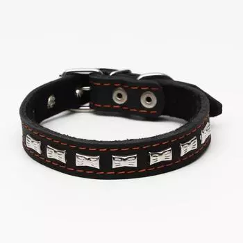Ошейник кожаный на синтепоне украшенный, 45 х 2 см, ОШ 25-35 см, чёрный