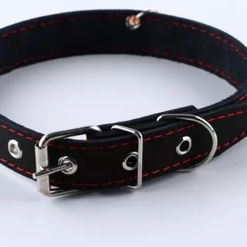 Ошейник кожаный с кожаным подвесом чёрный, ОШ 30-53см